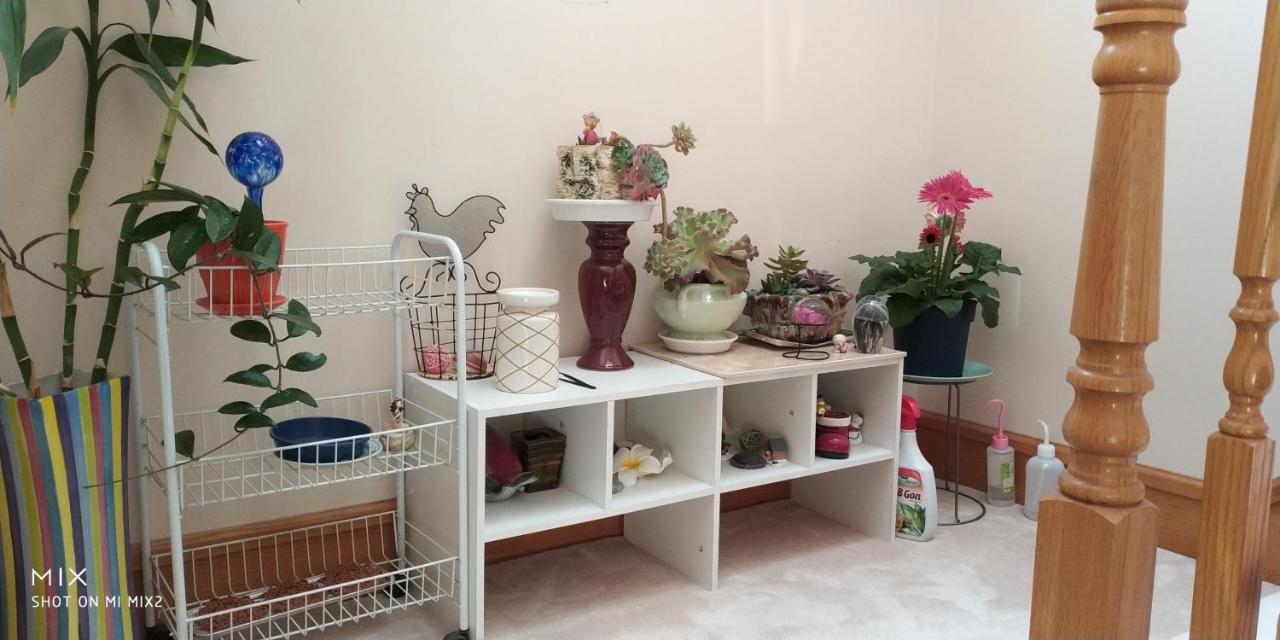 Helen'S House / Close To Skytrain And Airport Ванкувър Екстериор снимка